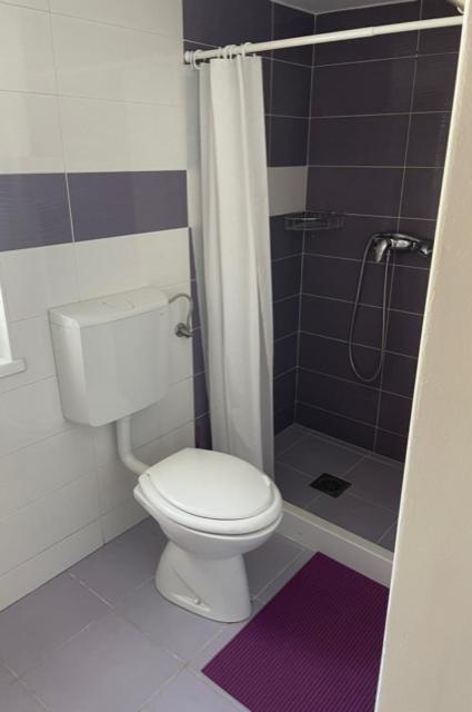 Cute Spot In Ljubljana Apartman Kültér fotó